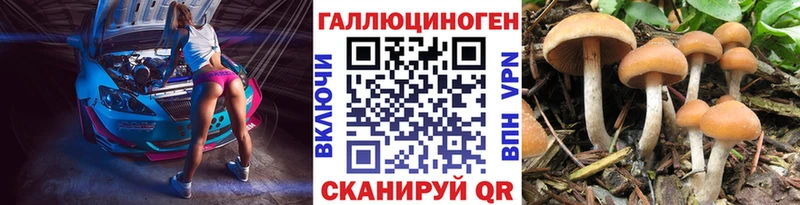 Псилоцибиновые грибы Cubensis  закладка  Геленджик 